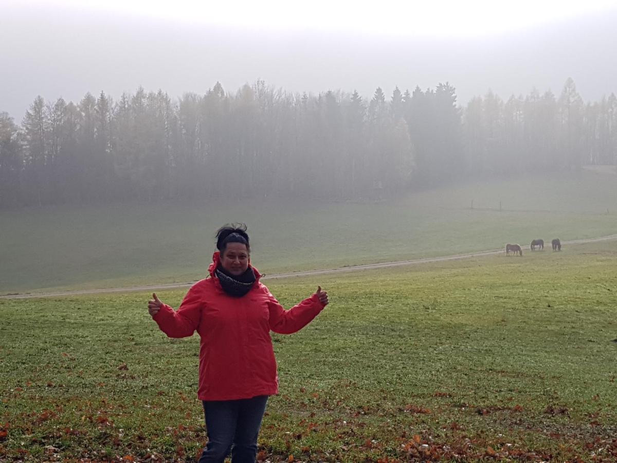Ferienwohnung HAGEBUTZE mit Sauna und Schwimmbad Bad Lauterberg im Harz Exterior foto