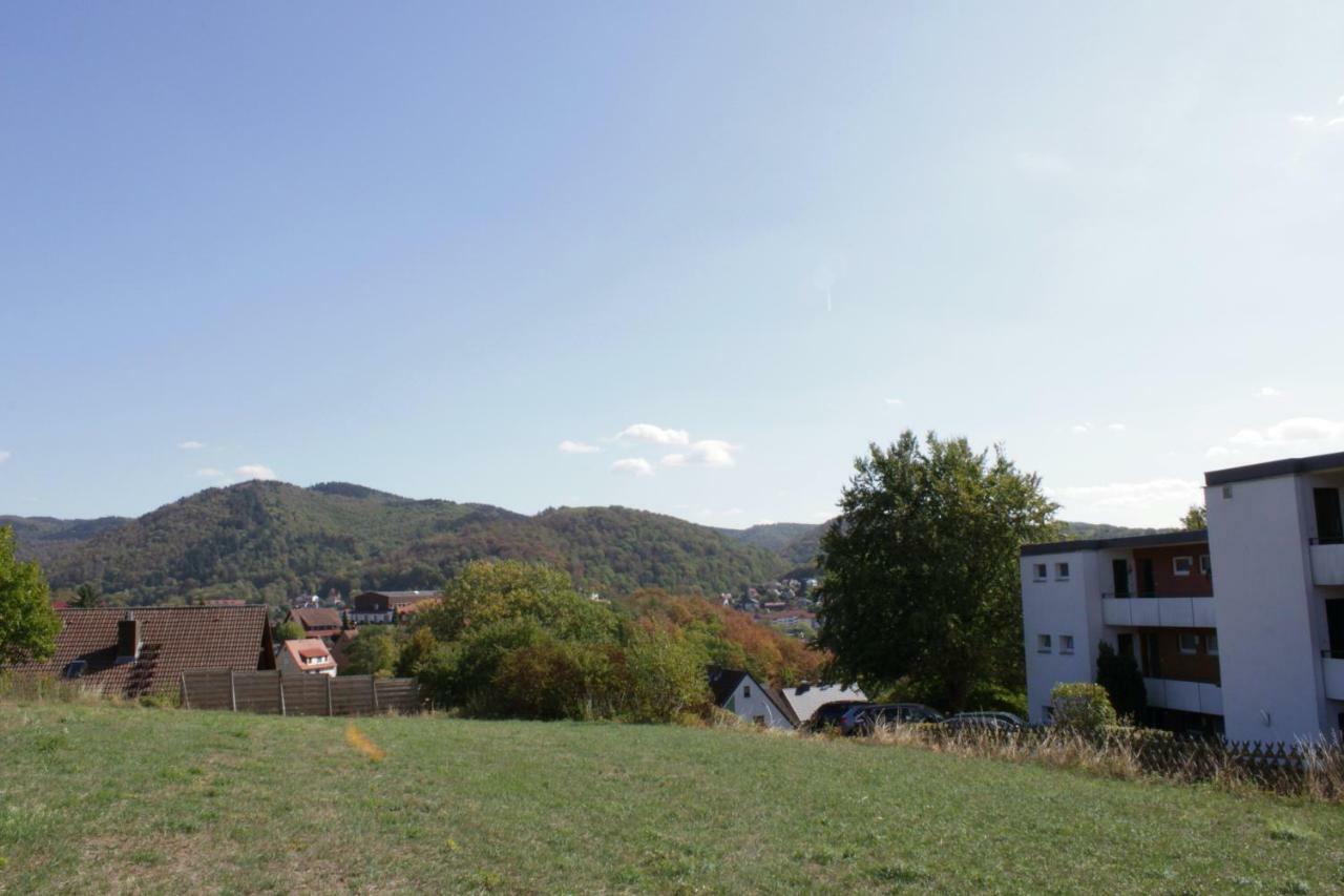 Ferienwohnung HAGEBUTZE mit Sauna und Schwimmbad Bad Lauterberg im Harz Exterior foto