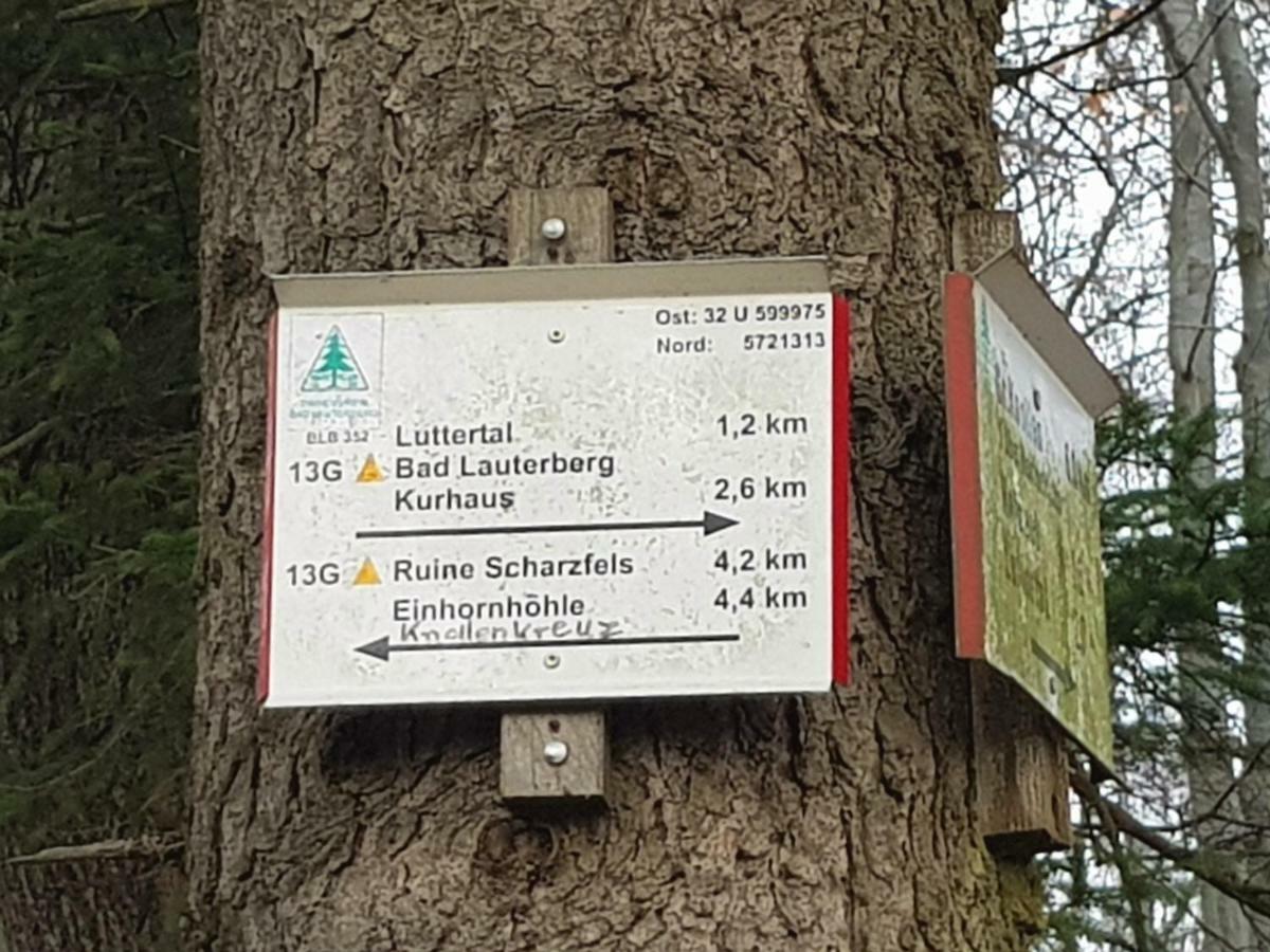 Ferienwohnung HAGEBUTZE mit Sauna und Schwimmbad Bad Lauterberg im Harz Exterior foto
