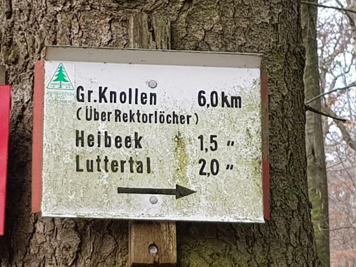 Ferienwohnung HAGEBUTZE mit Sauna und Schwimmbad Bad Lauterberg im Harz Exterior foto